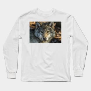 Timber Wolf - Looking at you. Long Sleeve T-Shirt